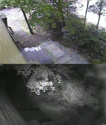 映像イメージ (日中・夜間)